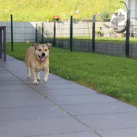 Barrierefreie In Der Naehe Der Golf- Und Freizeitanlage