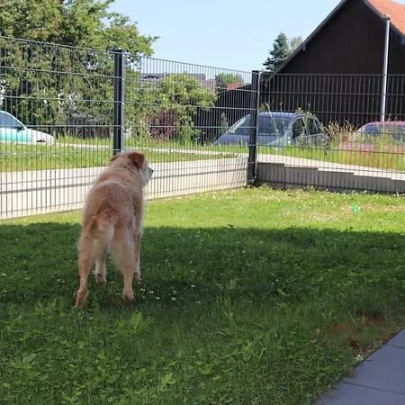 Barrierefreie In Der Naehe Der Golf- Und Freizeitanlage *
